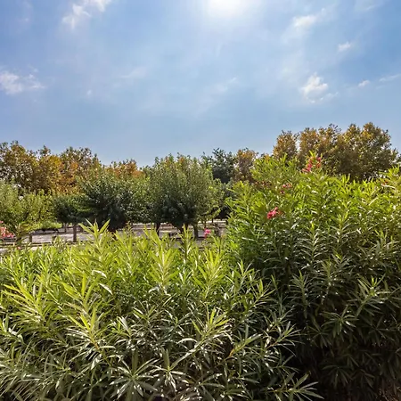 L'alicastre-4 By Interhome Apartment *